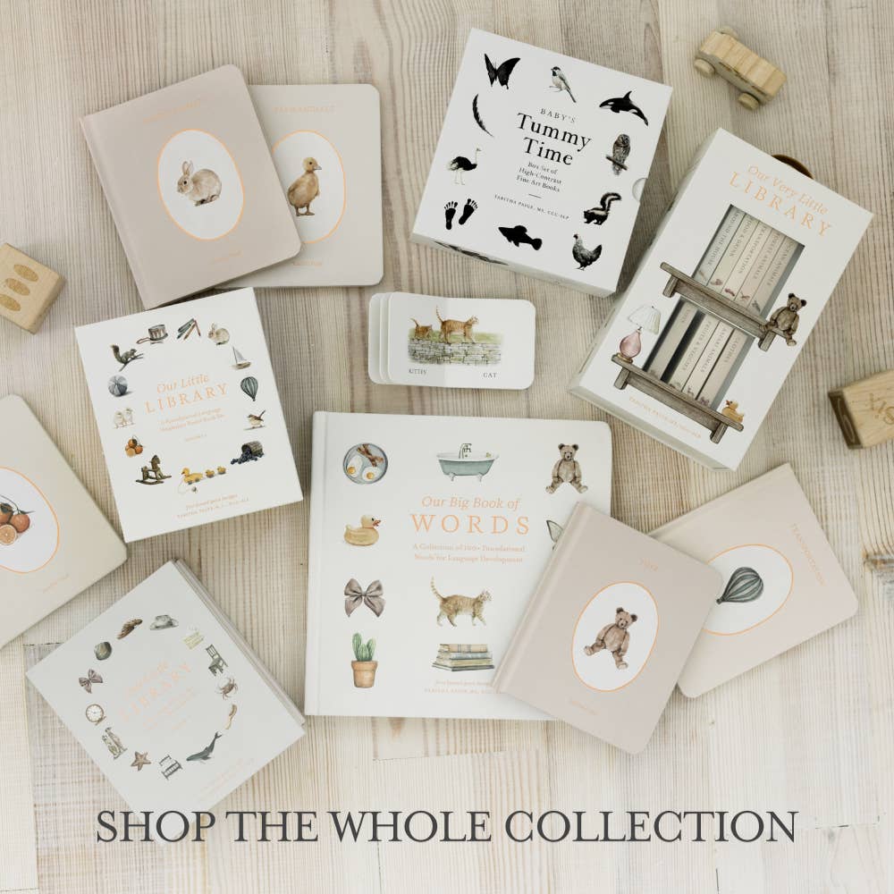 Paige Tate & Co. - Wishy Washy: A Board Book of First Words and Colors