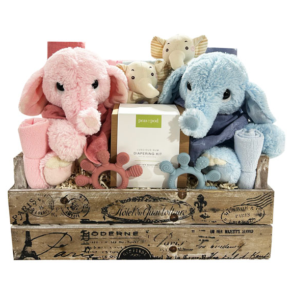 Two Times The Fun-Boy/Girl | Gift Basket