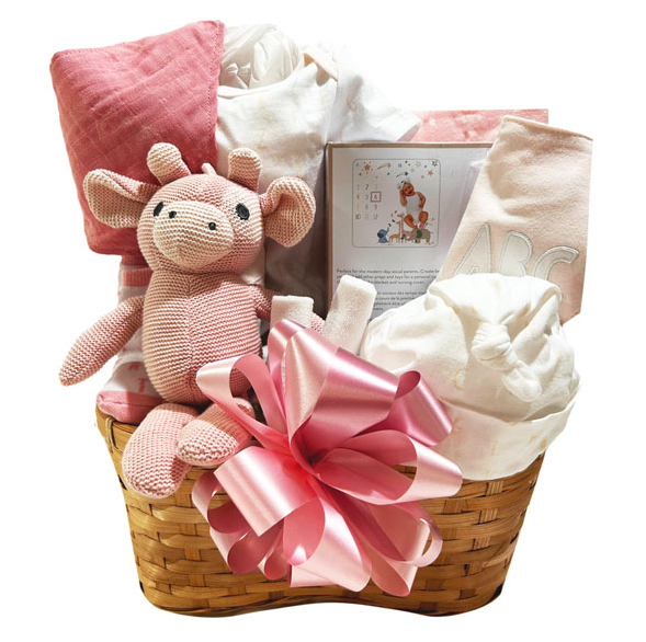 Newborn Baby Girl | Gift Basket