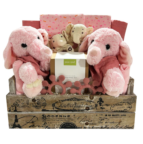 Two Times The Fun-Girl | Gift Basket
