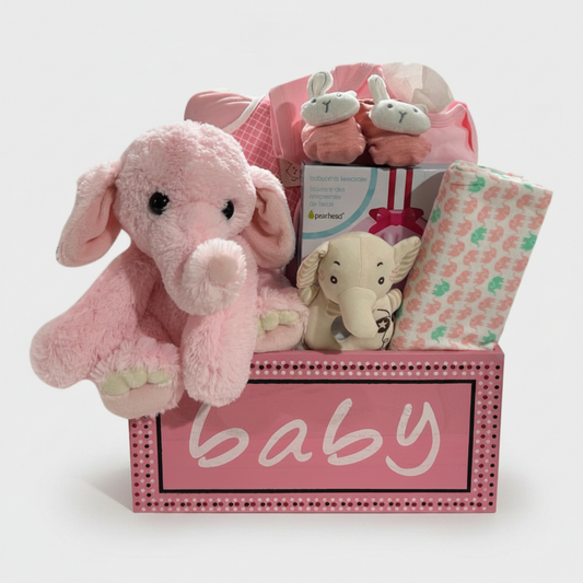 The Baby Girl Collection | Gift Basket