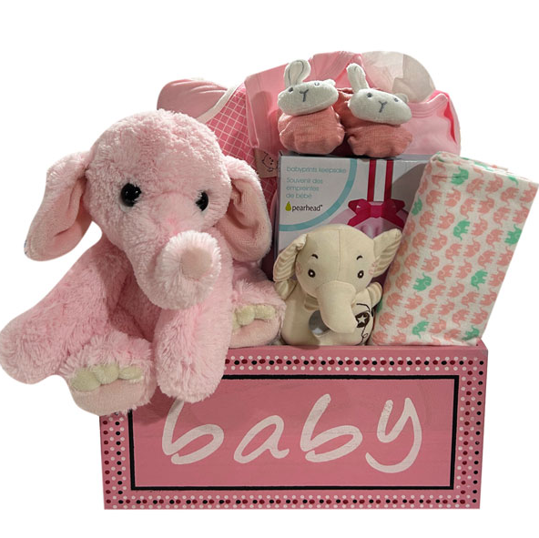 The Baby Girl Collection | Gift Basket