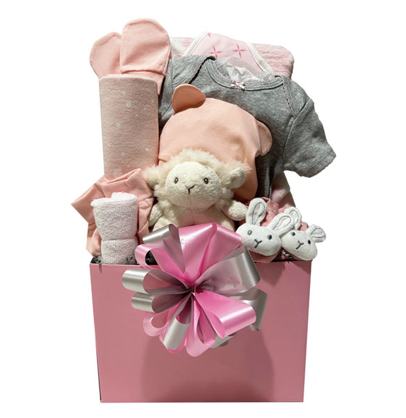 All For Baby Girl | Gift Basket