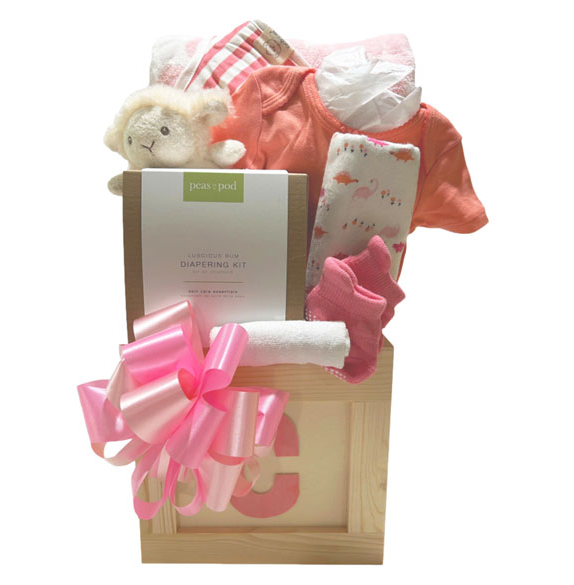 Hello Baby Girl | Gift Basket