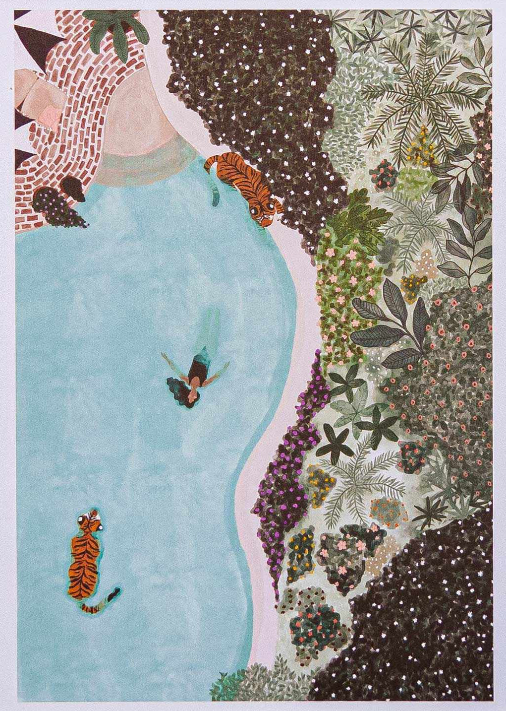 Swimming with Tigers Art Print