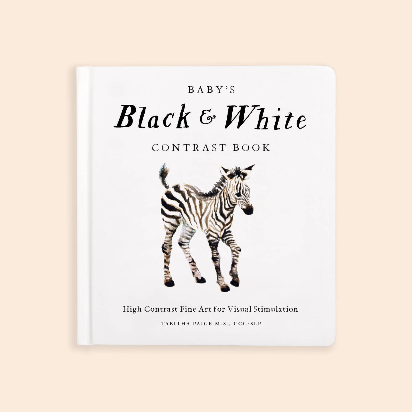 Paige Tate & Co. - Black and White Contrast Book