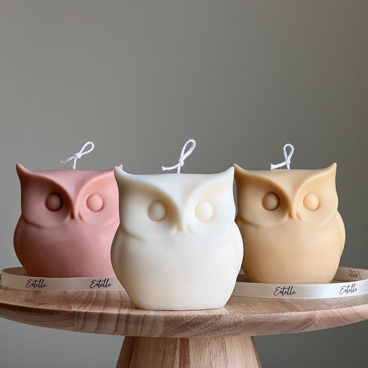 Sculptural Owl Candle | Vegan Soy Wax, Autumn Home Decor
