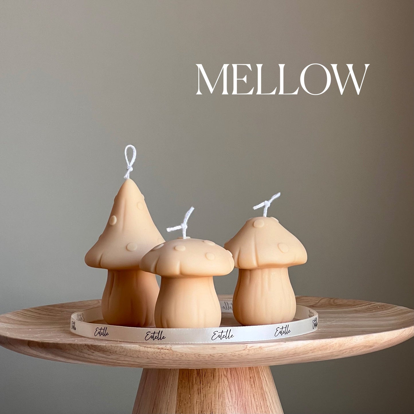 Mushroom Candle Set | Soy Wax Home Decor